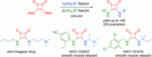GA_One-pot synthesis SQUARAMIDES